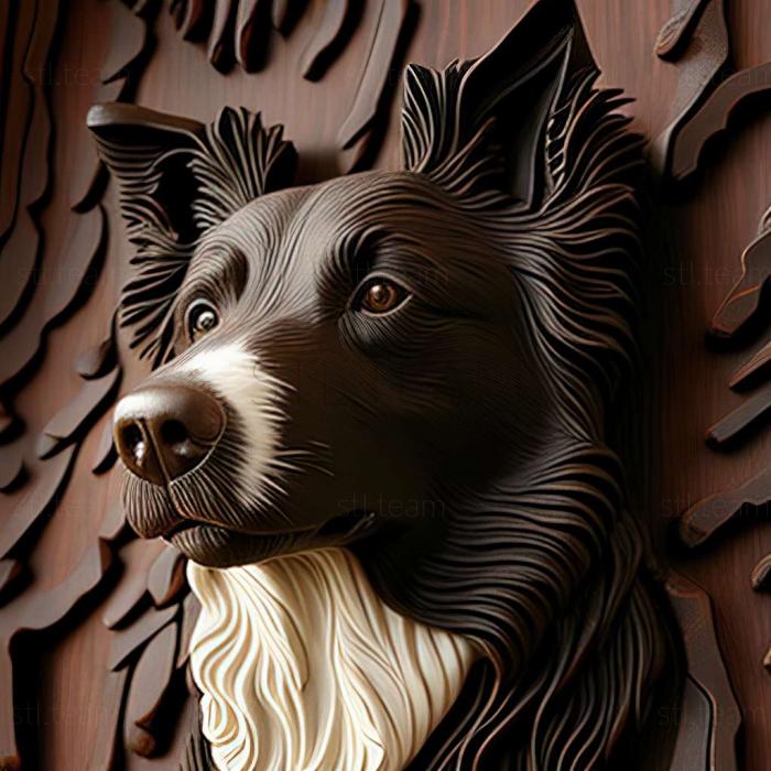 3D model Border Collie dog (STL)
